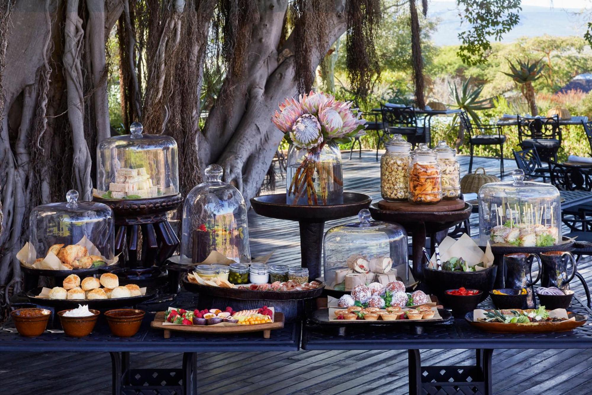 Bushmans Kloof Wilderness Reserve And Wellness Retreat Clanwilliam Bagian luar foto